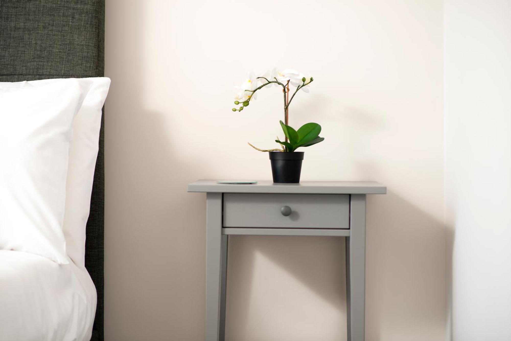 Morley Cottage - Modern 3 Bedroom, 2 Bathroom House With Garden In Southsea, Portsmouth Exteriér fotografie